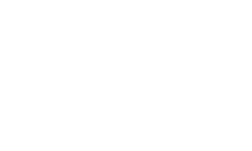 Minerva Foods