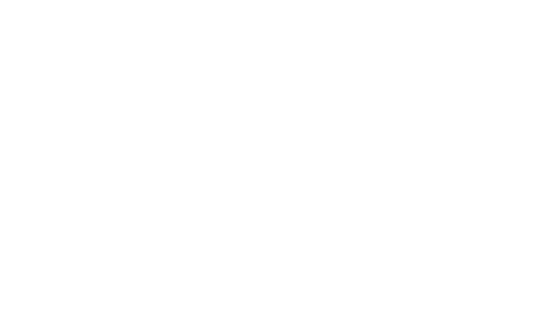 Logo Fretadão