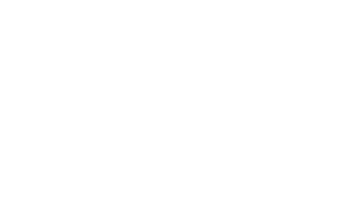 Logo Voxy