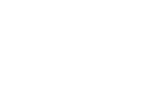 Logo Renapsi