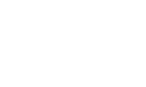 Passarelli
