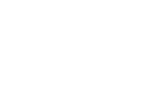 Lojas Renner S.A. Lojas Renner S.A.
