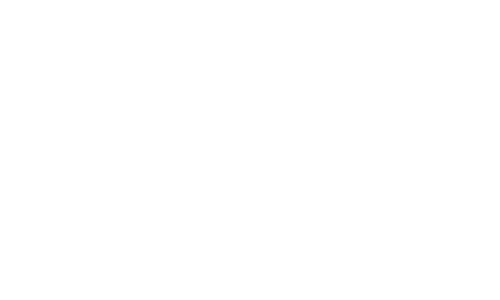Stefanini