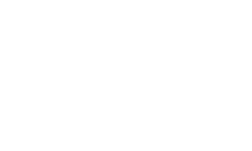 Grupo Mendes