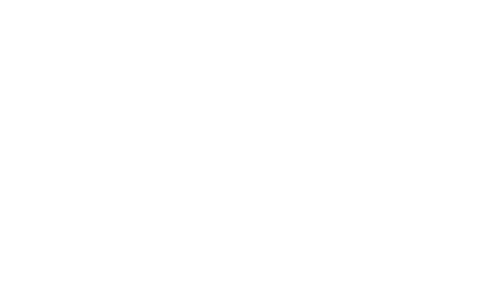 Logo PremierPet