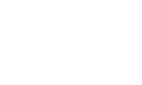 Logo Zeiss