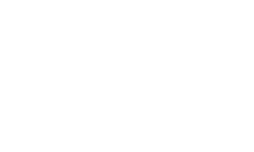 Logo IBRA